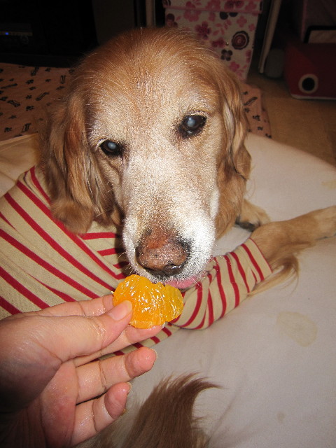 ファイル 1723-5.jpg