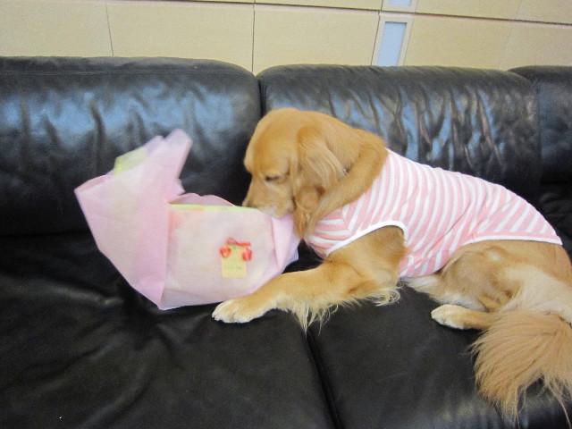 ファイル 1724-1.jpg