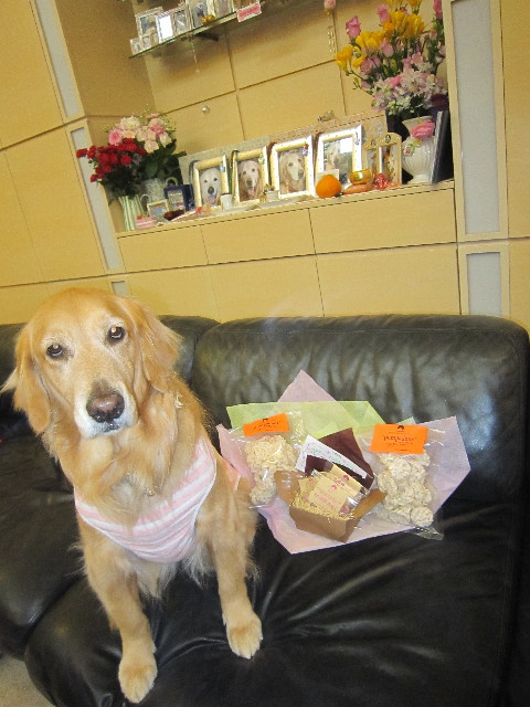 ファイル 1724-2.jpg