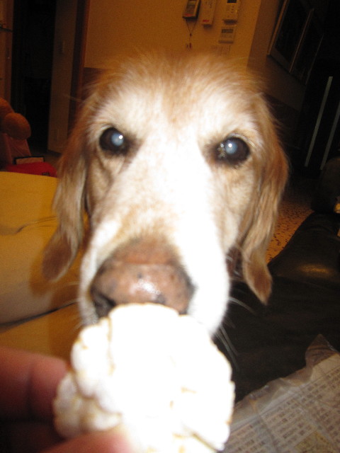 ファイル 1724-3.jpg