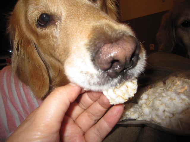 ファイル 1724-4.jpg