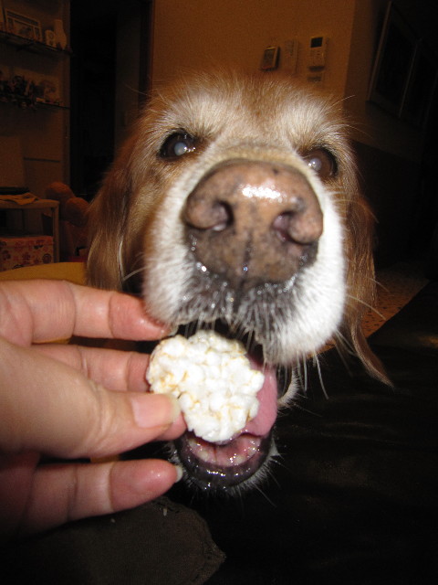 ファイル 1724-5.jpg