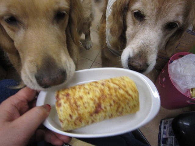 ファイル 1730-3.jpg