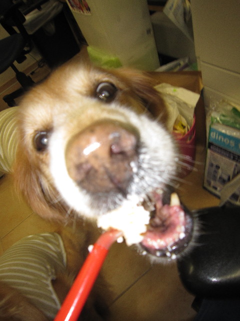 ファイル 1730-4.jpg