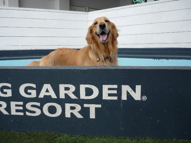 ファイル 1738-5.jpg