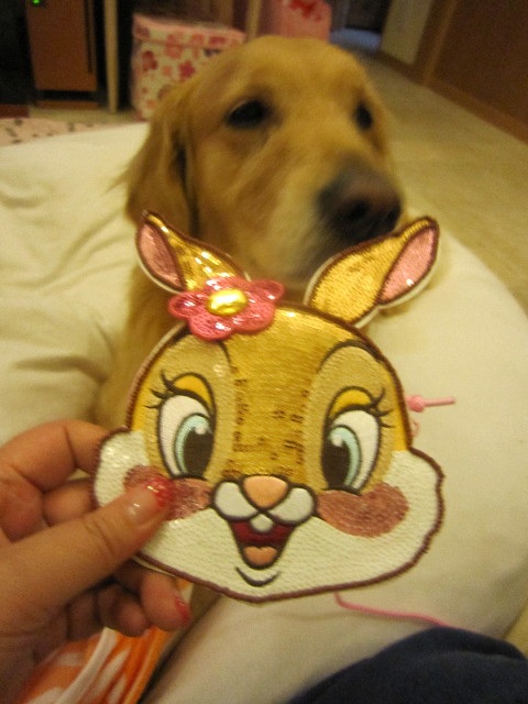 ファイル 1739-5.jpg