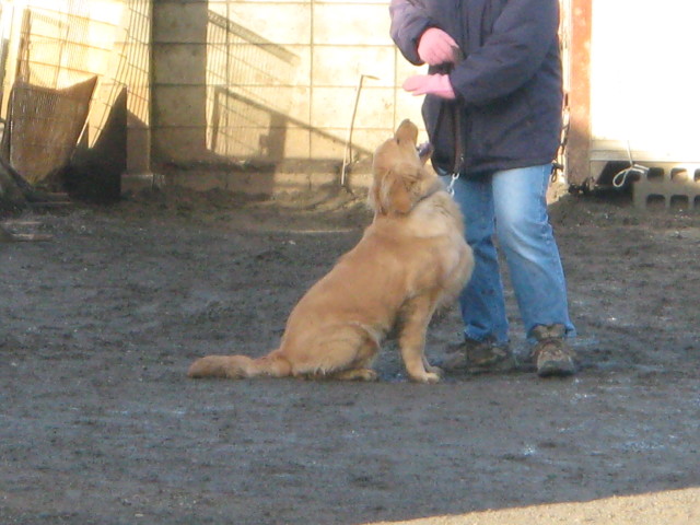 ファイル 174-1.jpg