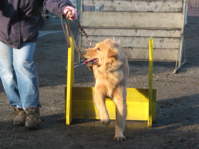 ファイル 174-3.jpg