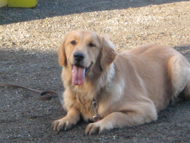 ファイル 174-4.jpg