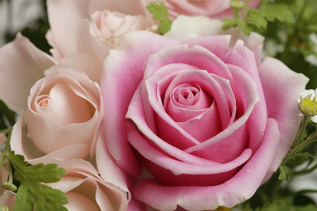 ファイル 1740-3.jpg