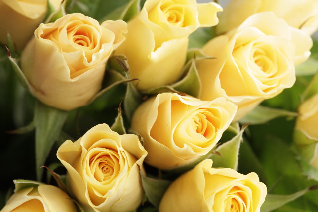 ファイル 1740-5.jpg