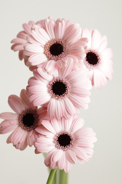 ファイル 1745-5.jpg