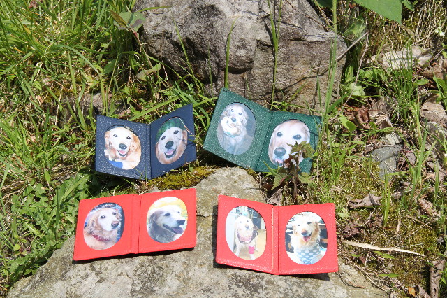 ファイル 1746-1.jpg