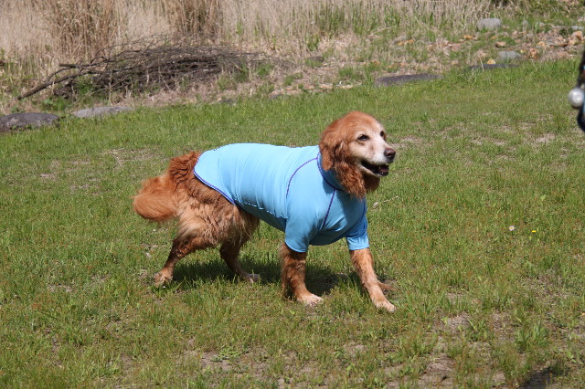 ファイル 1746-5.jpg