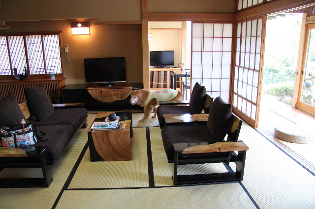 ファイル 1751-2.jpg