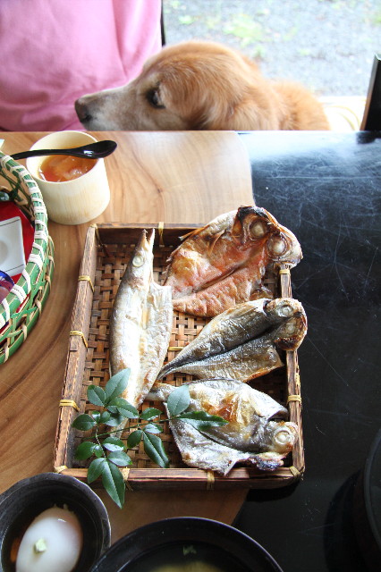 ファイル 1754-3.jpg