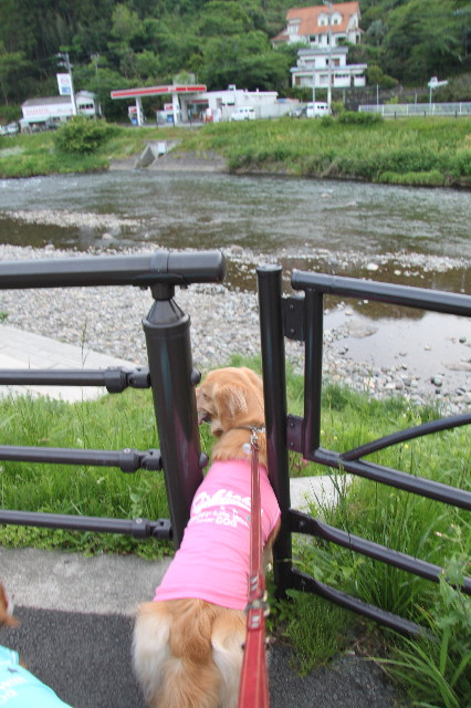 ファイル 1756-2.jpg