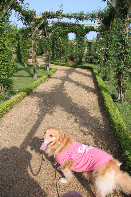 ファイル 1757-2.jpg