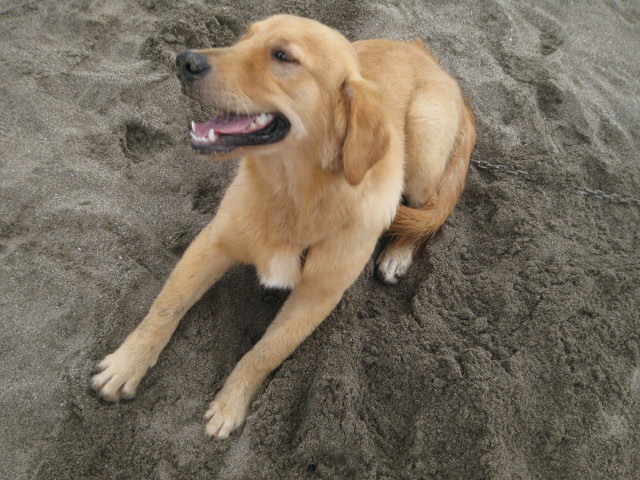 ファイル 176-3.jpg