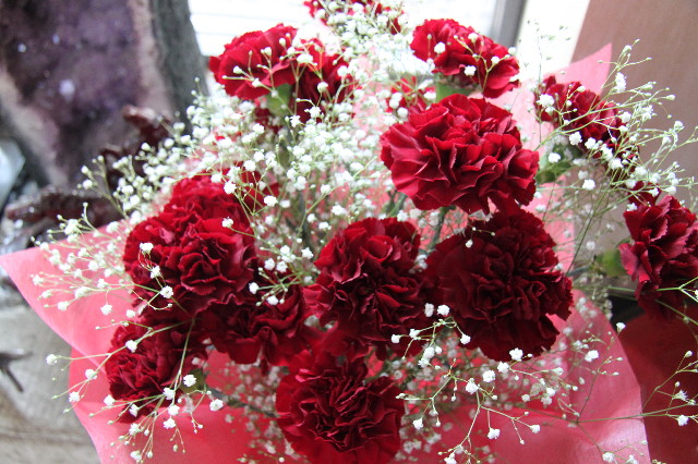 ファイル 1763-1.jpg