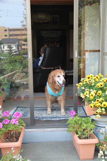 ファイル 1763-2.jpg