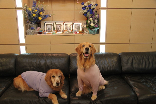 ファイル 1764-4.jpg