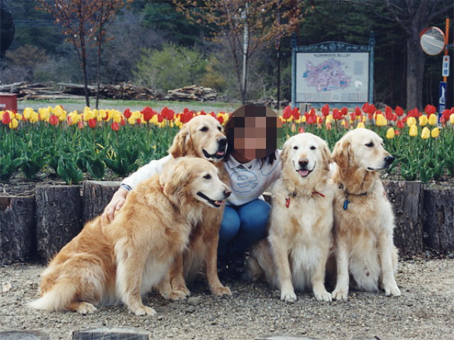 ファイル 1766-1.jpg