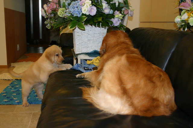 ファイル 1766-3.jpg