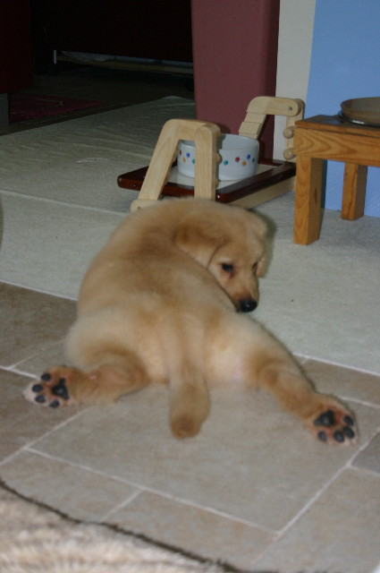 ファイル 1766-4.jpg