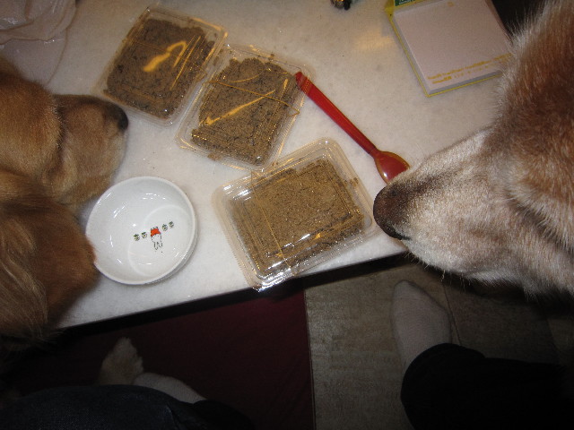 ファイル 1768-3.jpg