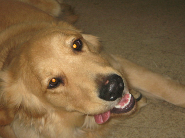 ファイル 177-5.jpg