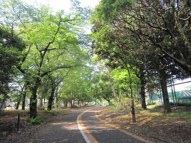 ファイル 1770-3.jpg