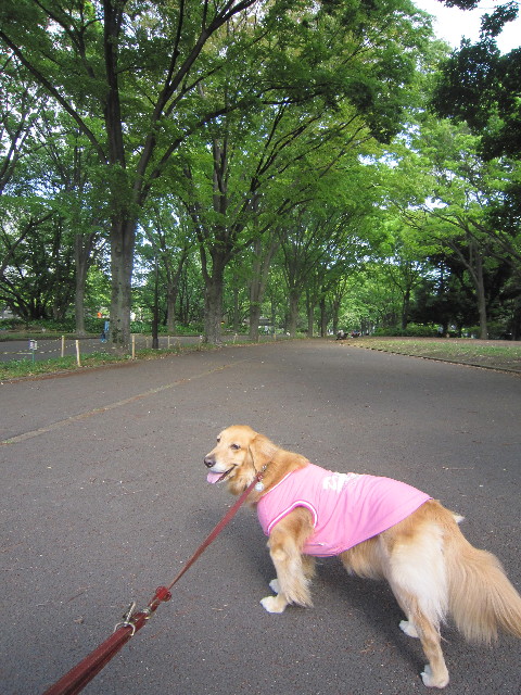 ファイル 1771-1.jpg