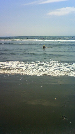 ファイル 1772-5.jpg