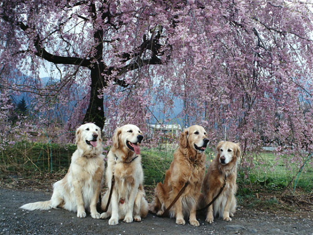 ファイル 1773-3.jpg