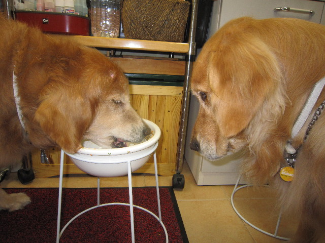 ファイル 1775-5.jpg