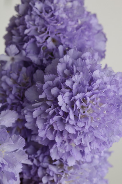 ファイル 1777-3.jpg