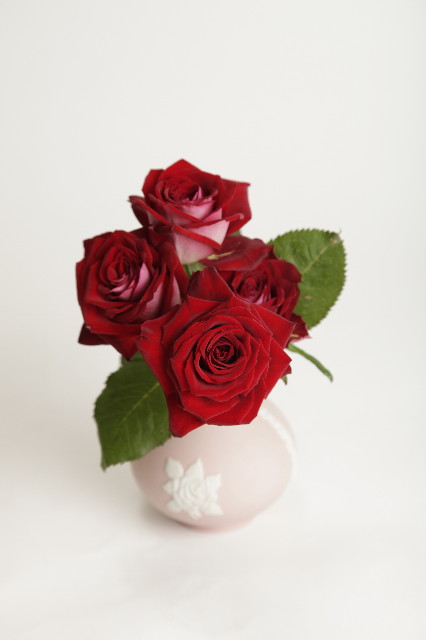 ファイル 1778-1.jpg