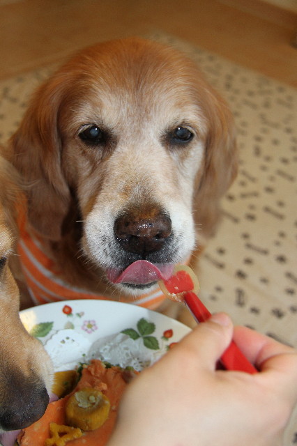 ファイル 1783-1.jpg