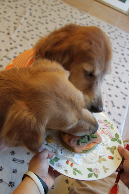 ファイル 1783-2.jpg