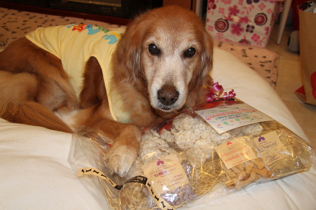 ファイル 1784-1.jpg