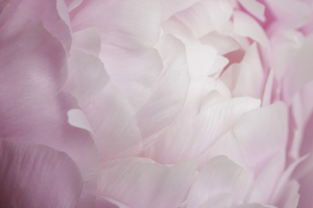 ファイル 1786-5.jpg