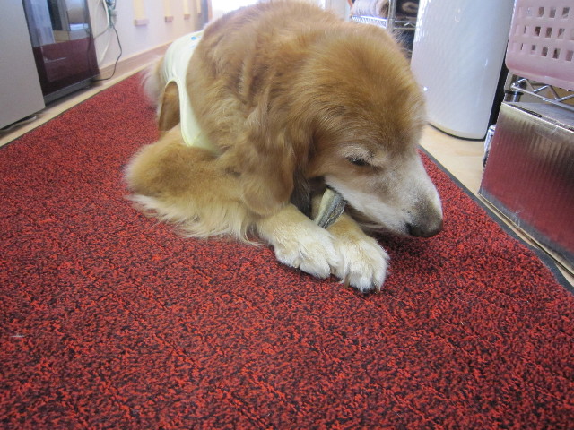 ファイル 1787-4.jpg