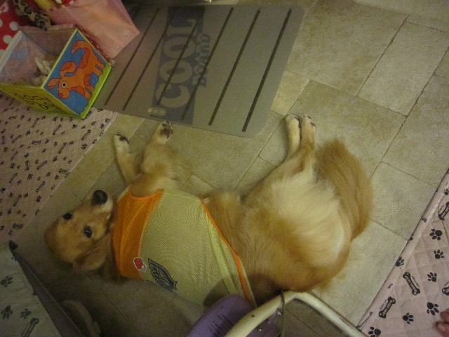 ファイル 1789-2.jpg