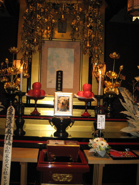 ファイル 179-4.jpg