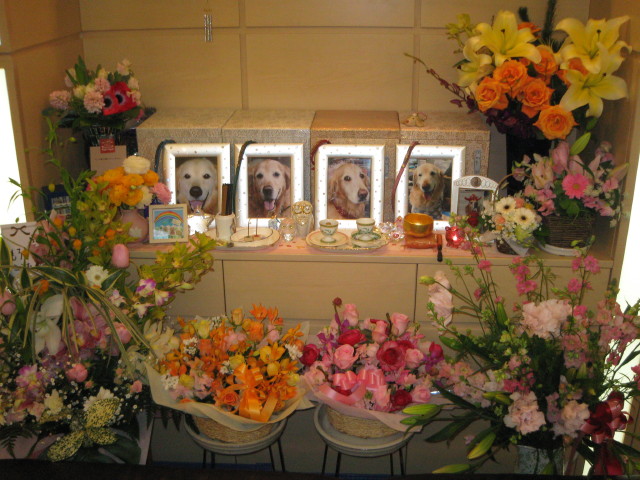 ファイル 179-5.jpg