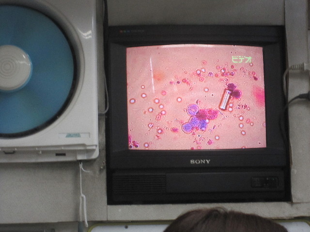 ファイル 1790-4.jpg