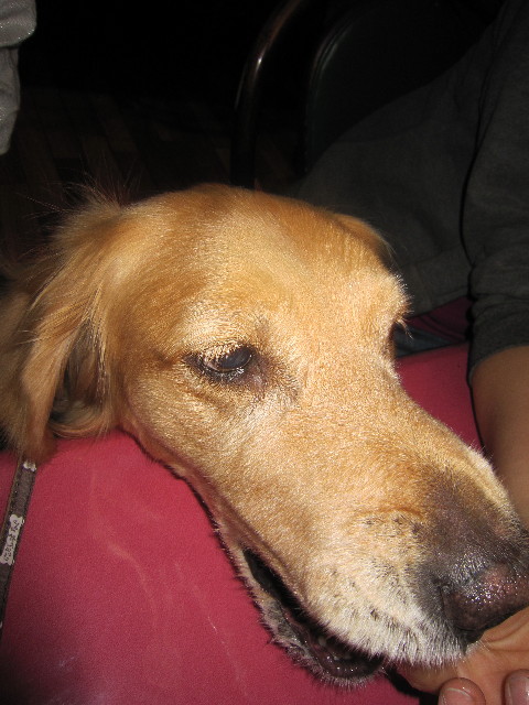 ファイル 1792-4.jpg