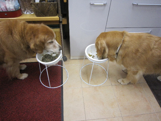 ファイル 1794-1.jpg