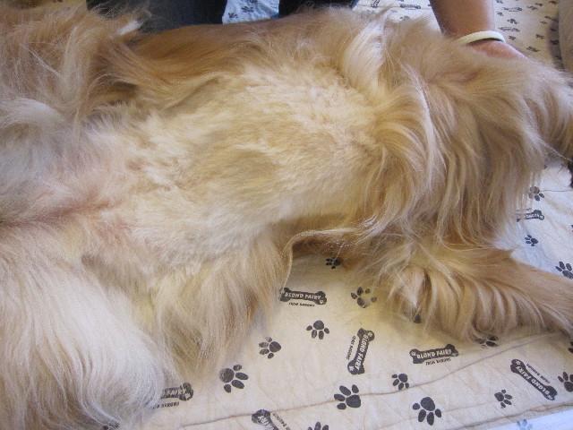 ファイル 1794-2.jpg